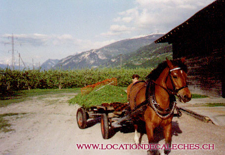 location-de-caleches-agriculture-ecologique